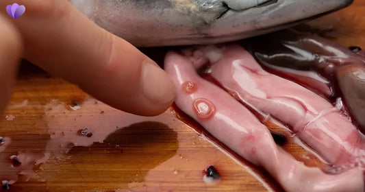 Can Sushi Give You Parasites? Risks, Symptoms, and Safety Tips