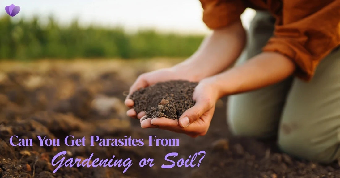 Can You Get Parasites From Gardening or Soil? Risks, Exposure & Prevention Guide