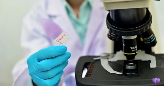 Do Parasite Cleanses Really Work? Safety Considerations and Side Effects