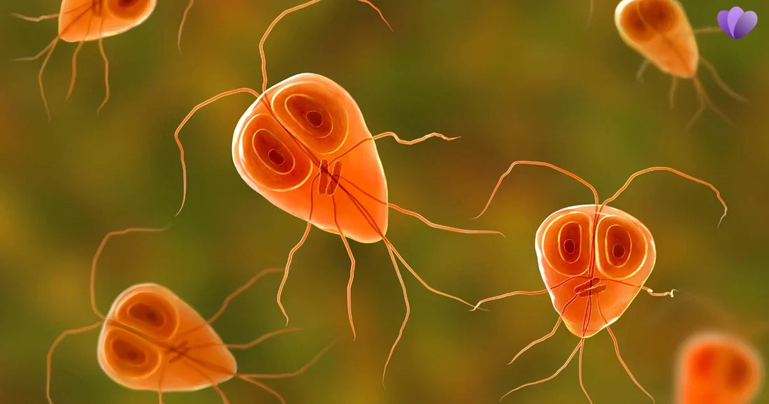 Does Everyone Have Parasites? Science Explains the Truth
