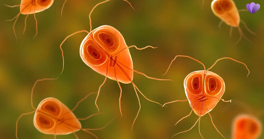 Does Everyone Have Parasites? Science Explains the Truth