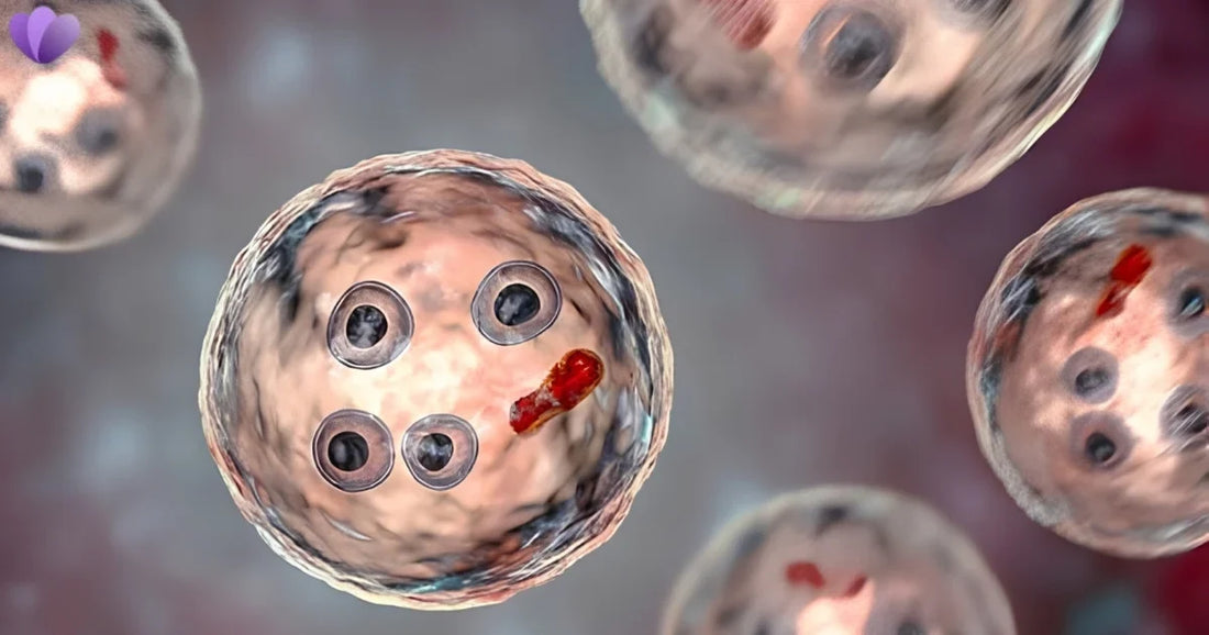 How Are Parasites Detected if You Have No Symptoms? Tests & Diagnosis Explained