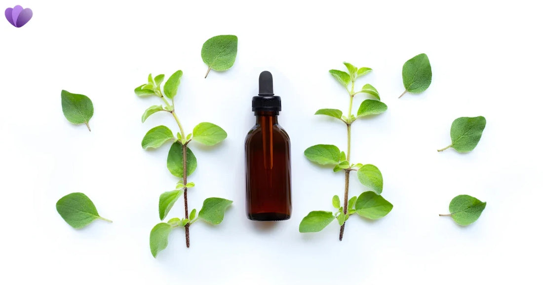 Oregano Oil for Parasites: What the Evidence Says About Benefits, Limits & Safety