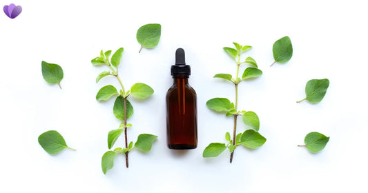 Oregano Oil for Parasites: What the Evidence Says About Benefits, Limits & Safety