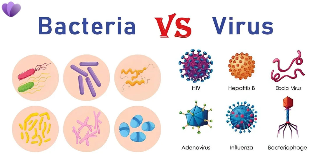 Parasites vs Bacteria vs Viruses: Key Differences Explained