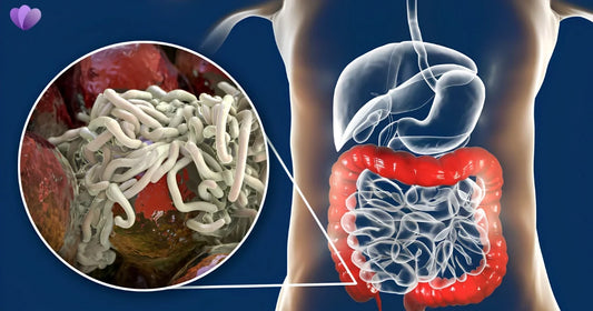 Why Do Pinworms Keep Coming Back? 7 Reasons Reinfection Happens
