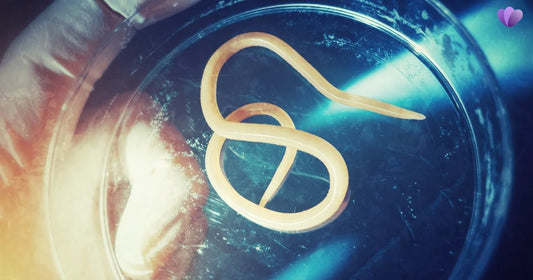 Why Your Parasite Cleanse Is Not Working (And How to Fix It Naturally)