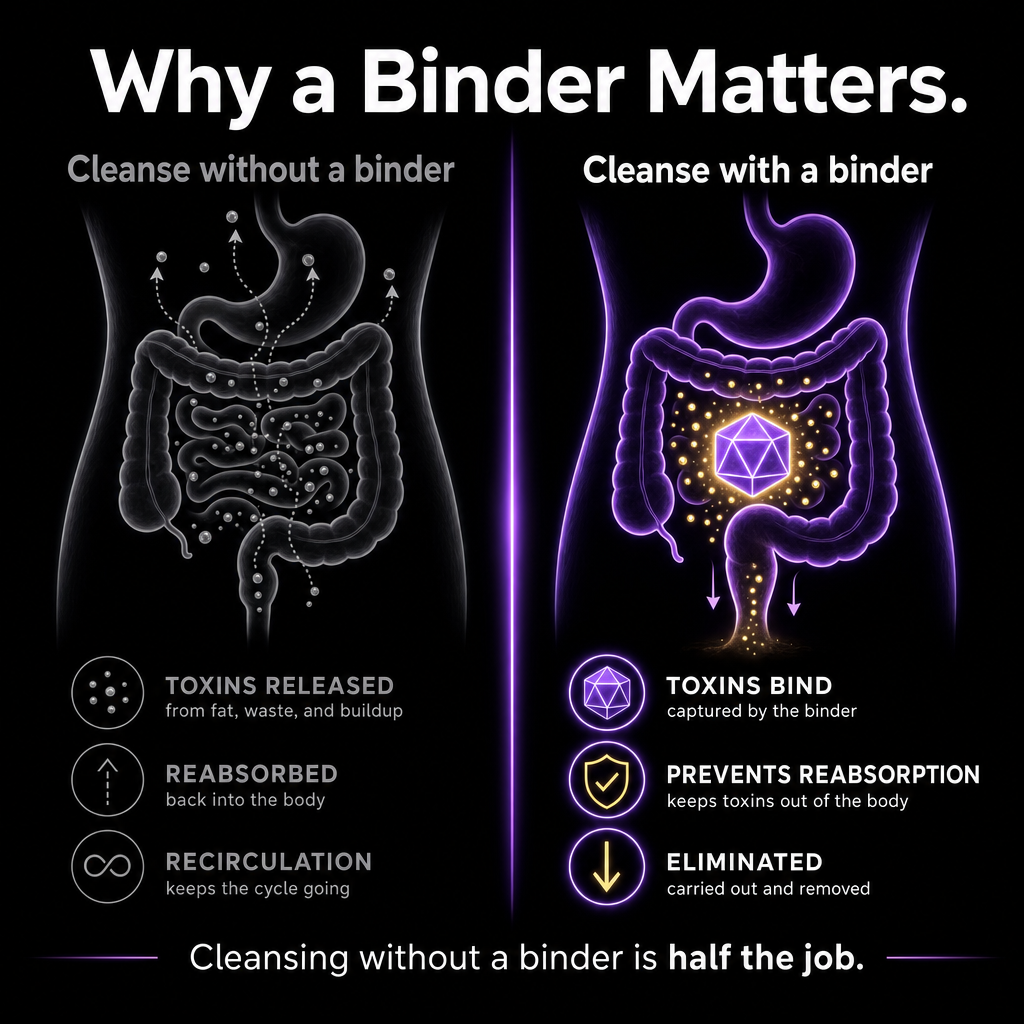 Educational graphic explaining why a binder may support a cleanse routine and digestive wellness