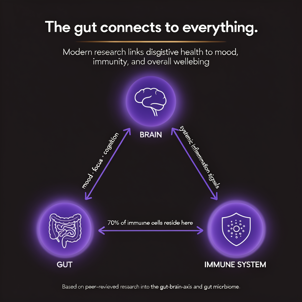 Gut health connection graphic showing links between brain, gut, and immune system support