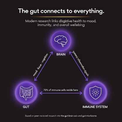 Gut health connection graphic showing links between brain, gut, and immune system support