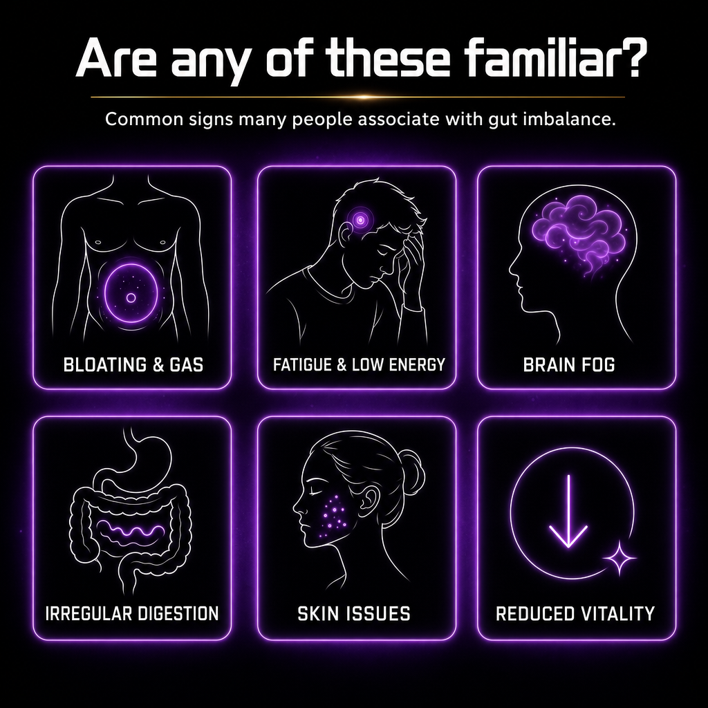 Gut imbalance symptoms infographic showing bloating, fatigue, brain fog, irregular digestion, skin issues, and low vitality
