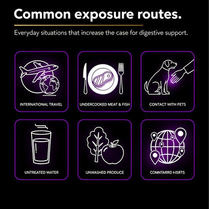 Infographic showing common digestive exposure routes including international travel, undercooked meat and fish, contact with pets, untreated water, unwashed produce, and contaminated environments.