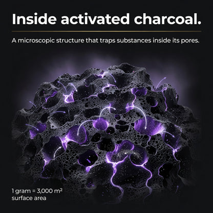 Microscopic activated charcoal structure showing porous surface area for binder support education