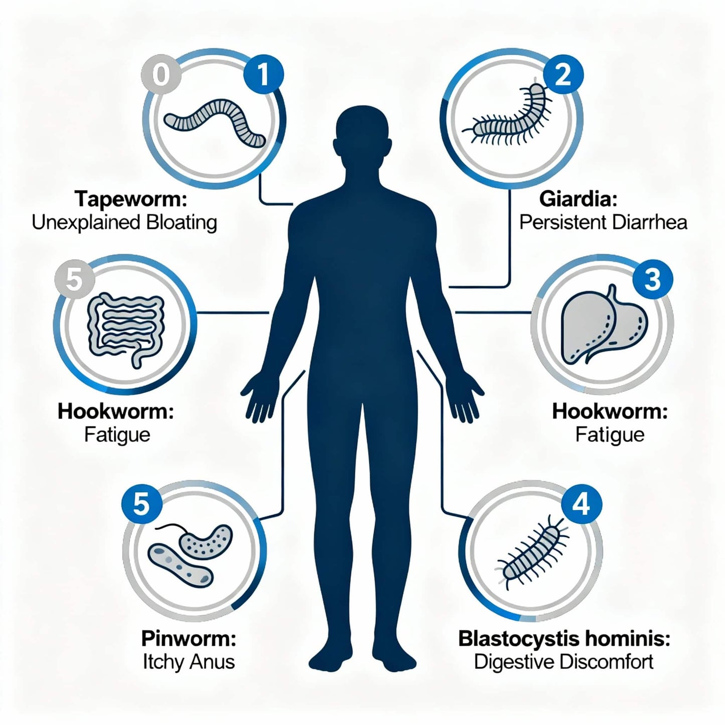 Parasite symptoms infographic showing bloating, fatigue, digestive discomfort, diarrhea, and itchy anus